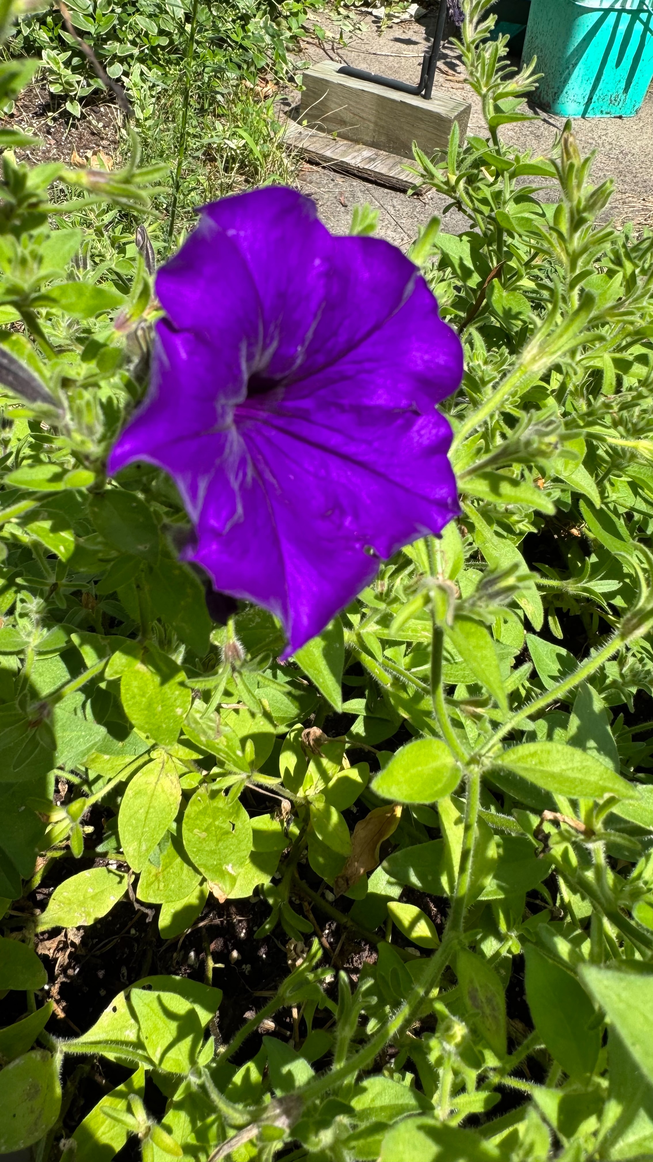 image - 3 (1).jpeg